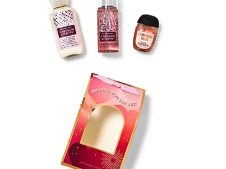 Bath & Body Works Gift Set for HER - Wishing You The Best For Sale