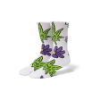 Green Buddy Blossom Sock on Sale